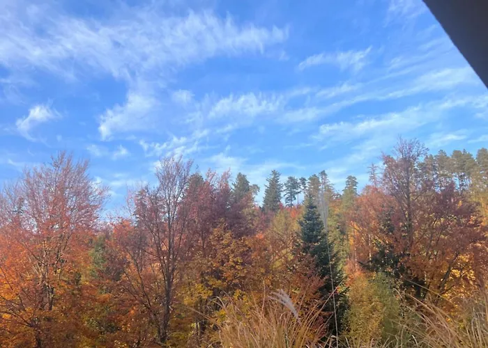 Διαμέρισμα Hyrca Szczyrk